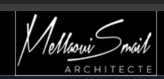 Mellaoui Smail Architecte
